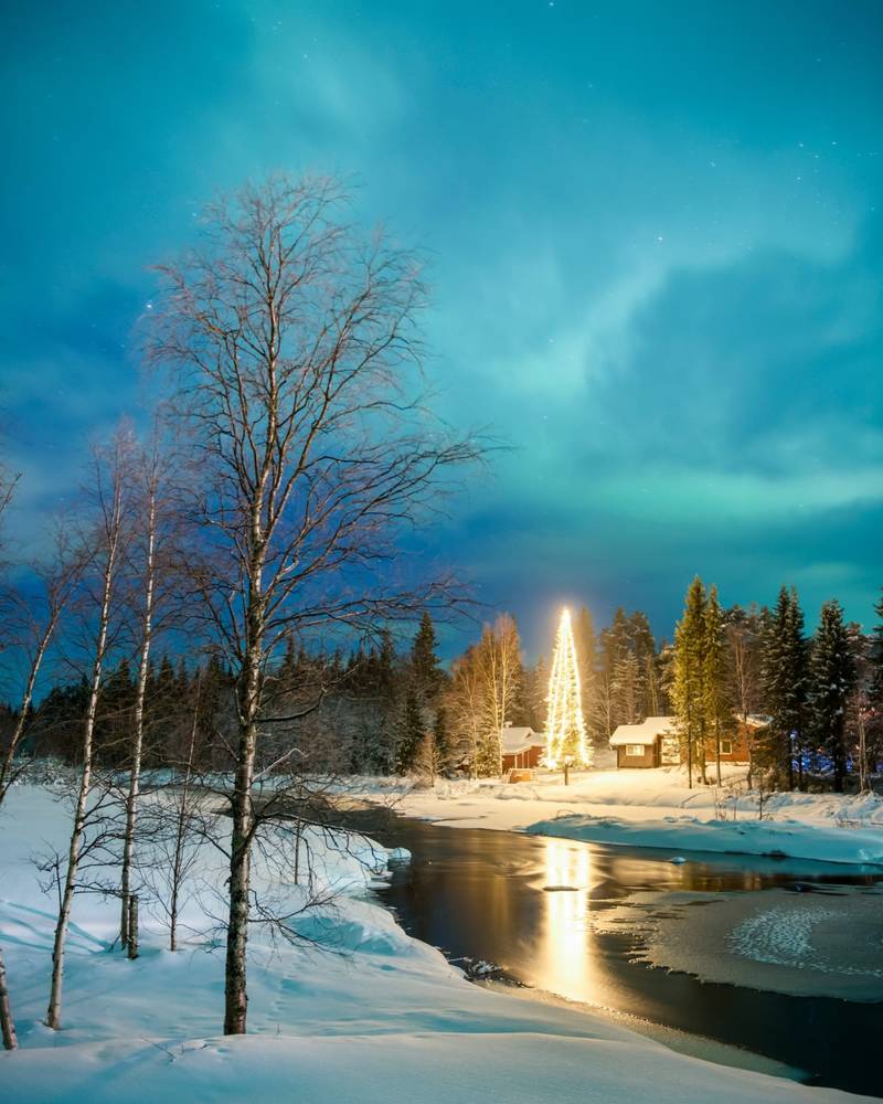 The northern lights over a snow-covered Lapland landscape, Finland