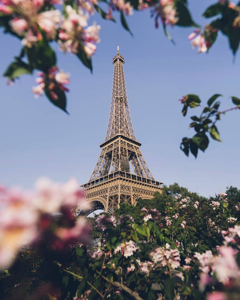 Eiffeltornet inramat av vårblommor i Paris, Frankrike