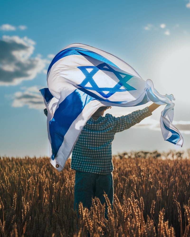 Un niño sosteniendo la bandera de Israel en un campo de trigo dorado, Israel