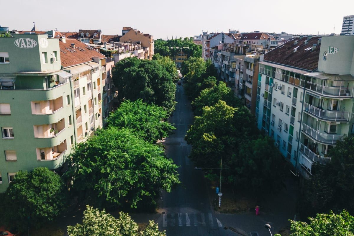A leafy residential street lined with low apartment buildings in Novi Sad's Grbavica district.